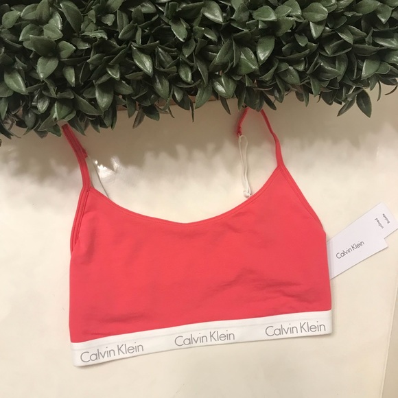 Calvin Klein Underwear Other - NWT Calvin Klein Bralette